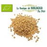 Senape gialla in grani bio 100 g (SFUSA)