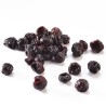 Ribes nero disidratato 100 gr (SFUSO)