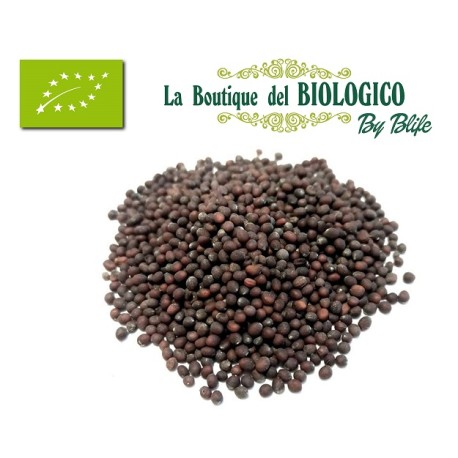 Senape nera in grani bio 100 g (SFUSA)