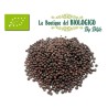 Senape nera in grani bio 100 g (SFUSA)