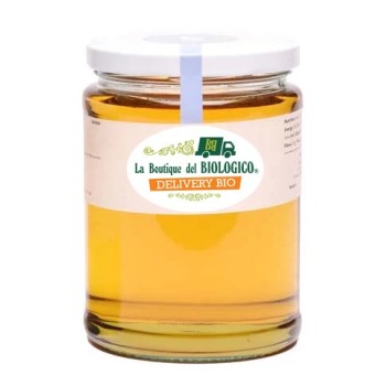 Sciroppo di Agave bio 450 ml