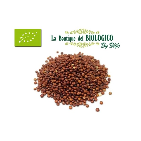 Quinoa rossa bio 100 gr (SFUSA)