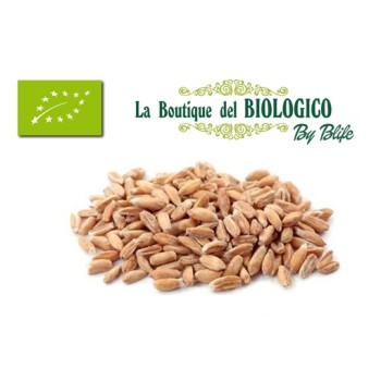 Farro monococco bio 100 gr (SFUSO)