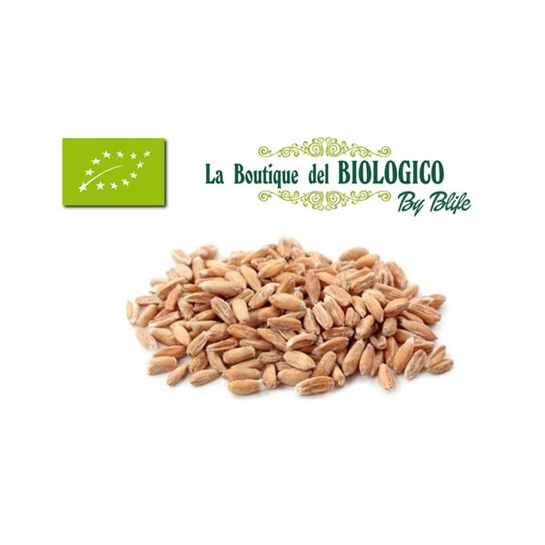 Farro monococco bio 100 gr (SFUSO)