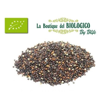 Quinoa nera bio 100 gr (SFUSA)