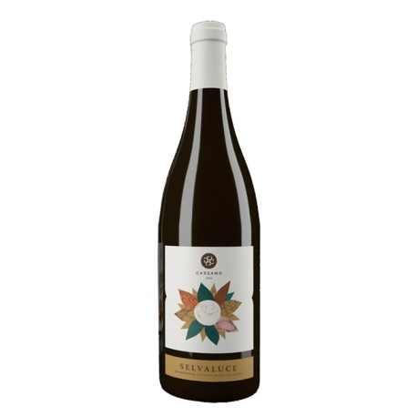Vino Bianco Chardonay Selvaluce Bio Cassano 750 ml