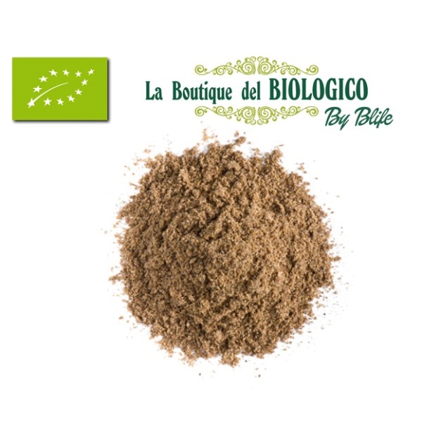 Garam Masala bio 25 gr (sfuso)