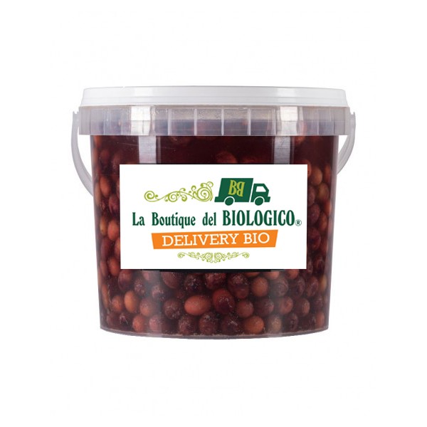Olive Leccino denocciolate bio 5 kg