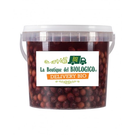 Olive Leccino denocciolate bio 5 kg