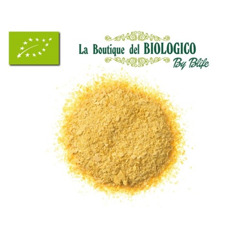 Lievito secco in fiocchi bio 25 g (sfuso)