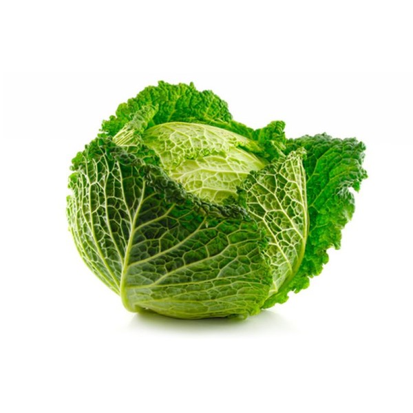 Cavolo Verza verde bio 1,5 Kg (c.ca)