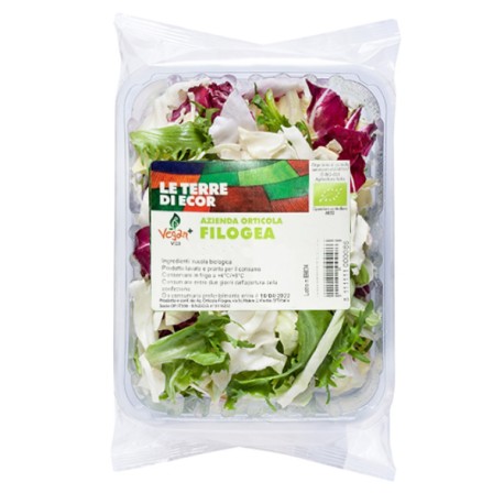 Misticanza bio vaschetta 100 g