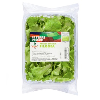 Insalatina bio vaschetta 100 g