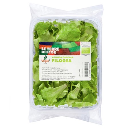 Insalatina bio vaschetta 100 g