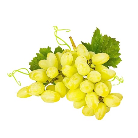 Uva bianca senza semi apirene bio 250 g