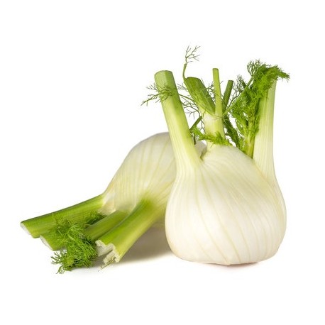 Finocchi biologici 500 g