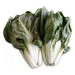 Bietola a coste bio 500 g