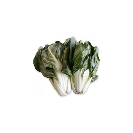 Bietola a coste bio 500 g