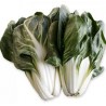Bietola a coste bio 500 g