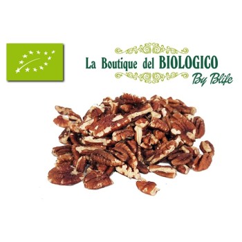 Noci Pecan frantumate bio 100 g (SFUSE)