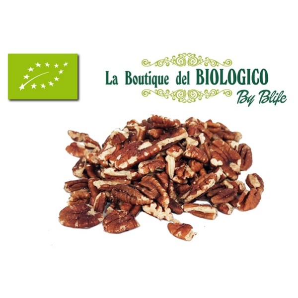 Noci Pecan frantumate bio 100 g (SFUSE)