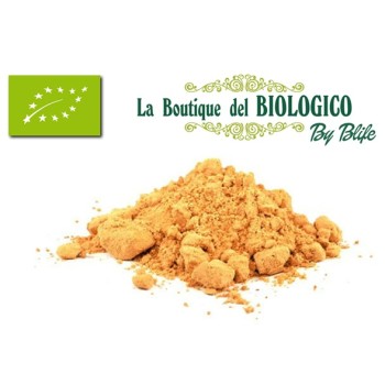 Bacche di goji in polvere bio 50 g (SFUSE)
