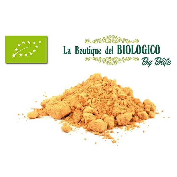 Bacche di goji in polvere bio 50 g (SFUSE)