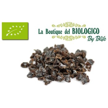 Prugne disidratate a cubi bio 100 g (SFUSE)