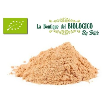Lion's Mane in polvere bio 50 g (SFUSO)