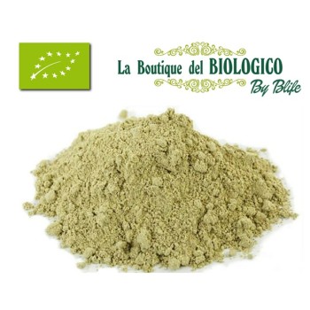 Broccolo in polvere bio 100 g (SFUSO)