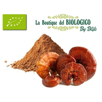 Reishi in polvere bio 50 g...