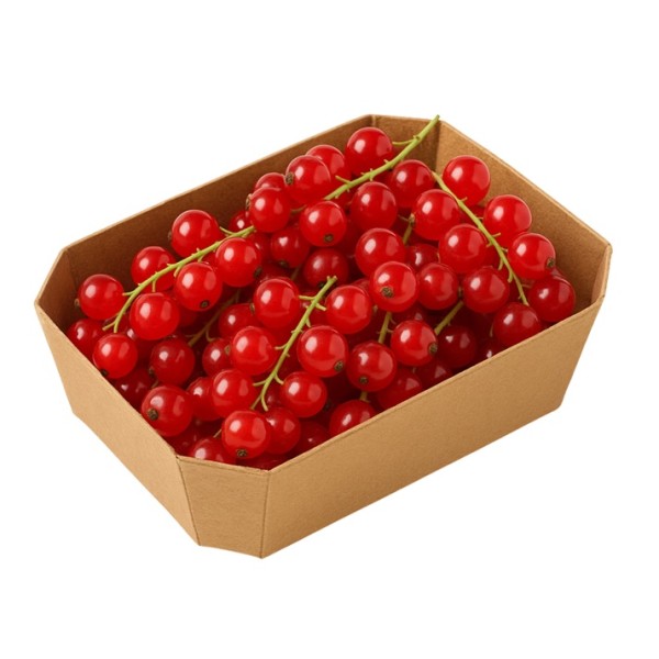 Ribes rosso bio fresco vaschetta 125 g