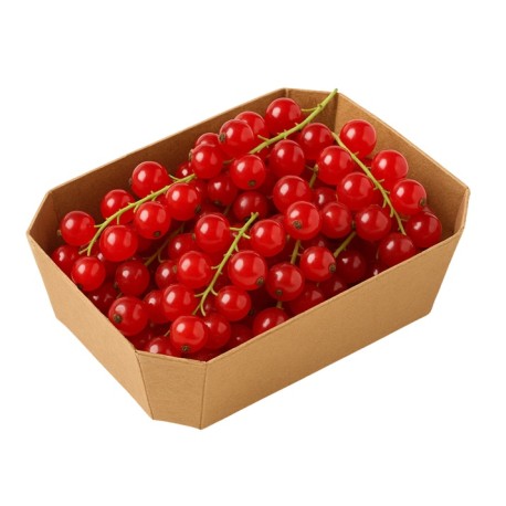 Ribes rosso bio fresco vaschetta 125 g