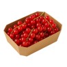 Ribes rosso bio fresco vaschetta 125 g