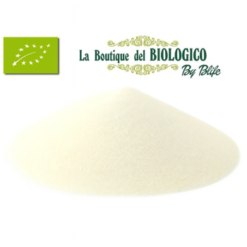 Farina di cocco fine bio (Cocco rapè fine) (SFUSO)