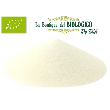 Farina di cocco fine bio (Cocco rapè fine) (SFUSO)