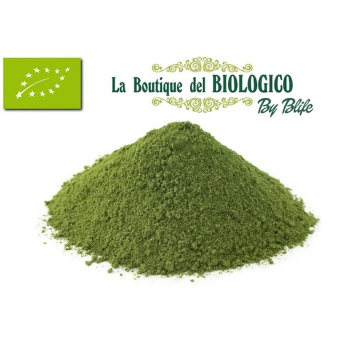 Menta piperita in polvere bio 25 g (Sfusa)