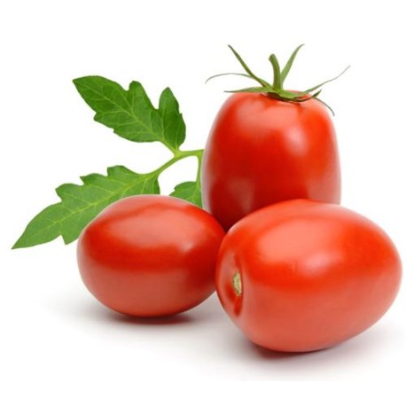 Pomodori Oblunghi bio 500 g