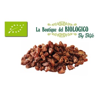 Datteri a pezzi bio 100 g (SFUSI)