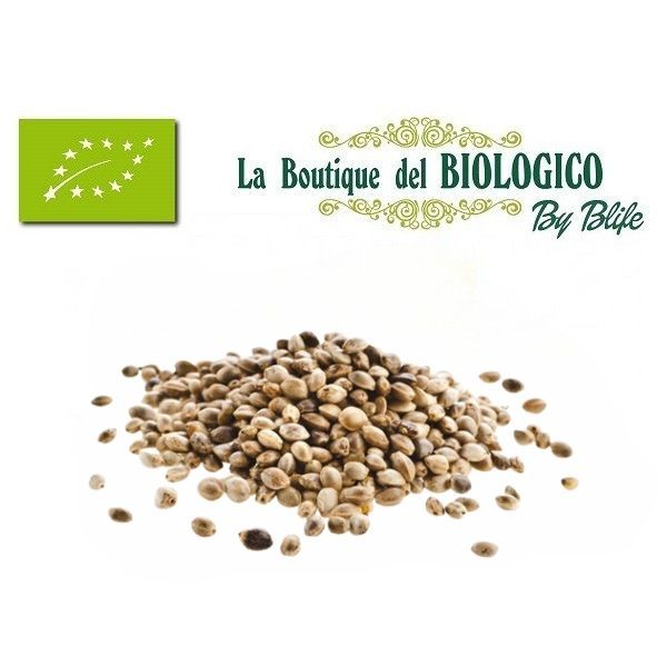 Semi di canapa non decorticati bio interi 100 g (SFUSI)