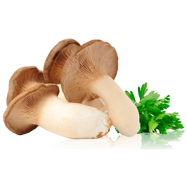 Funghi cardoncelli bio 250 g