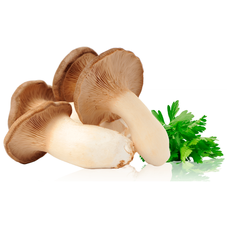 Funghi cardoncelli bio 250 g