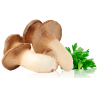 Funghi cardoncelli bio 250 g