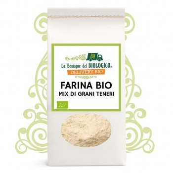 Farina mix di grani teneri bio 500 g