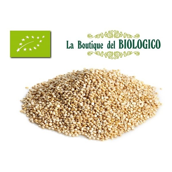 Quinoa bianca bio 100 g (SFUSA)