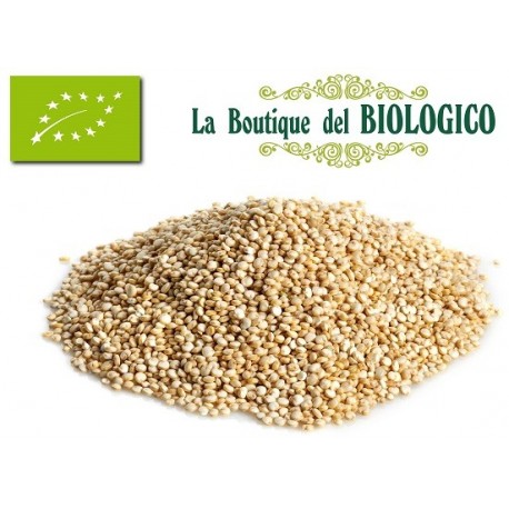 Quinoa bianca bio 100 g (SFUSA)