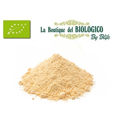 Farina di ceci tostata bio 100 g (SFUSA)