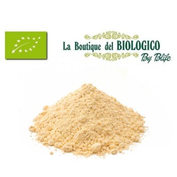 Farina di ceci bio cruda 100 g (SFUSA)