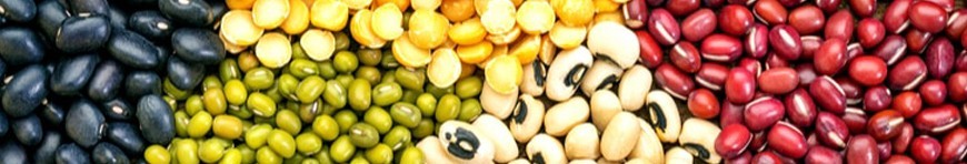 Legumi e Zuppe Bio - Acquista Online e Ricevi a Casa tua!