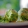 Polpette di quinoa e spinaci
